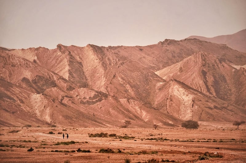 Desert Treks