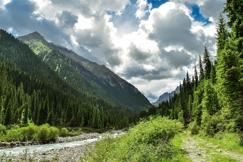 Mountain Ascents